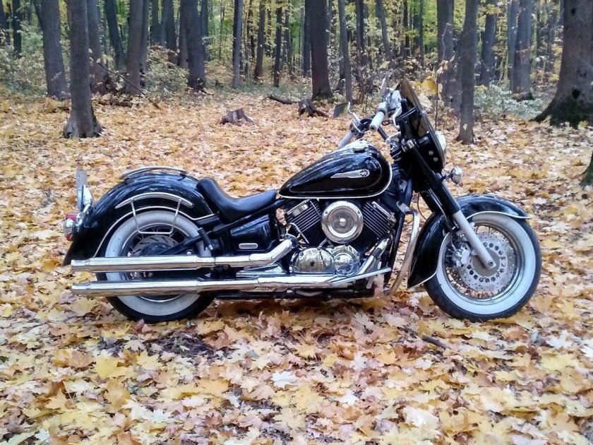 Yamaha Drag Star 1100