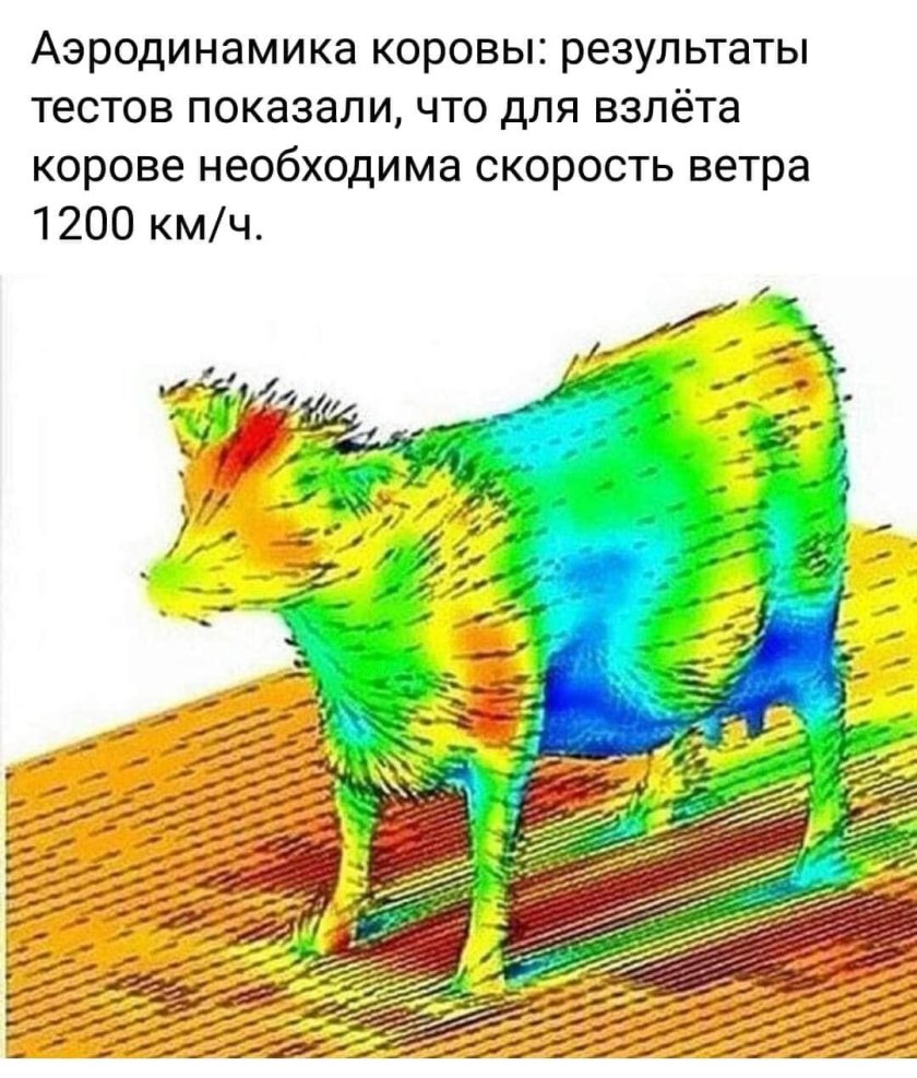 Аэродинамика коровы