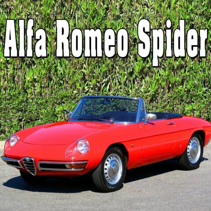 Alfa romeo spider 1966