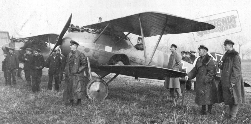Самолёты Австро Венгрии