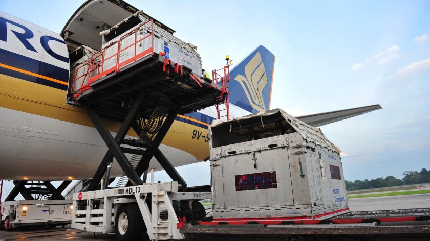 Singapore Airlines Cargo