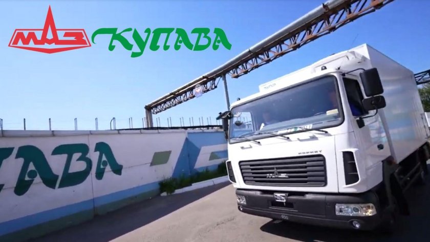 Man Купава 47nm00