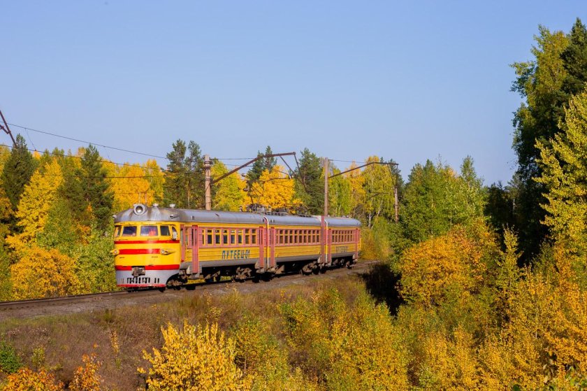 Эр1 электропоезд жёлтый