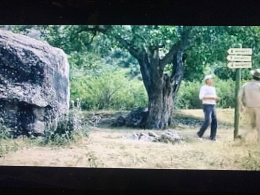 Спортлото-82 фильм