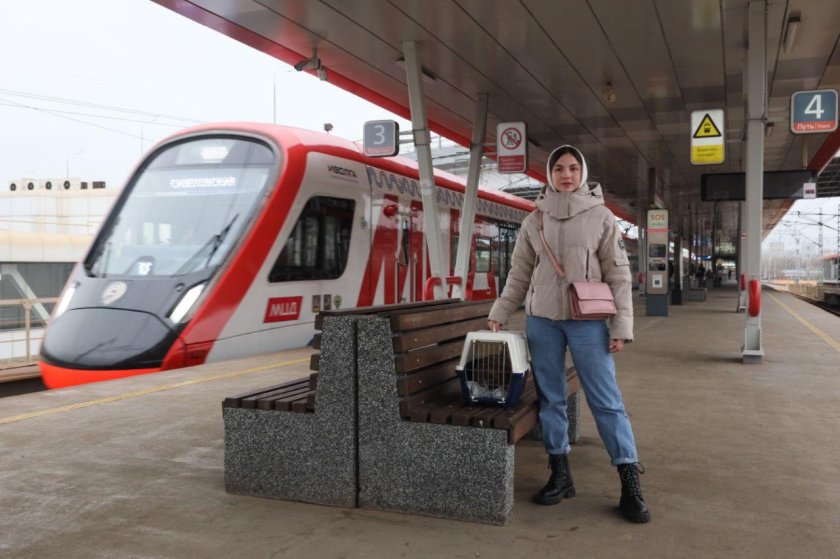 Московское центральное кольцо