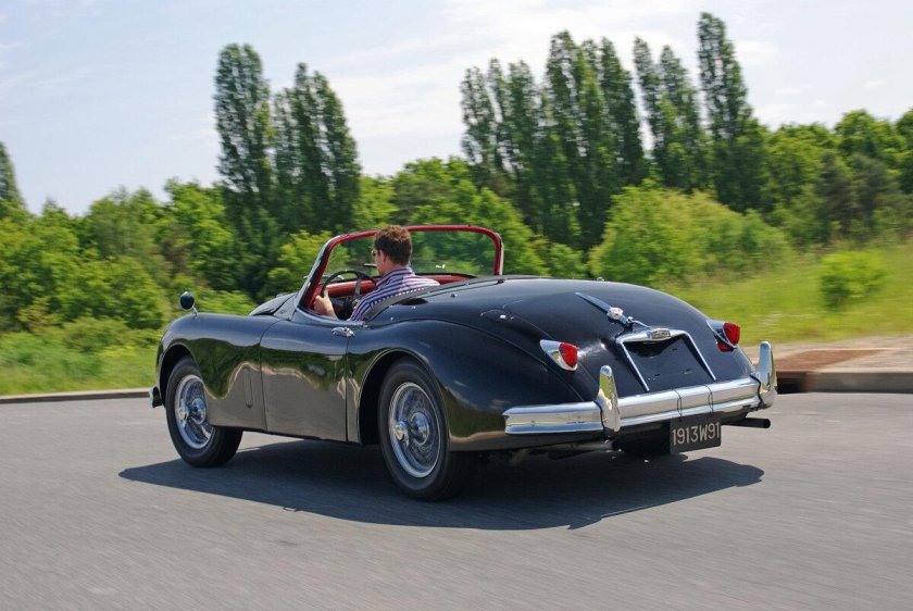 Ягуар 52 года