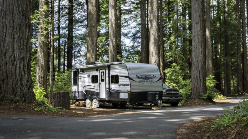 Дом на колесах в лесу