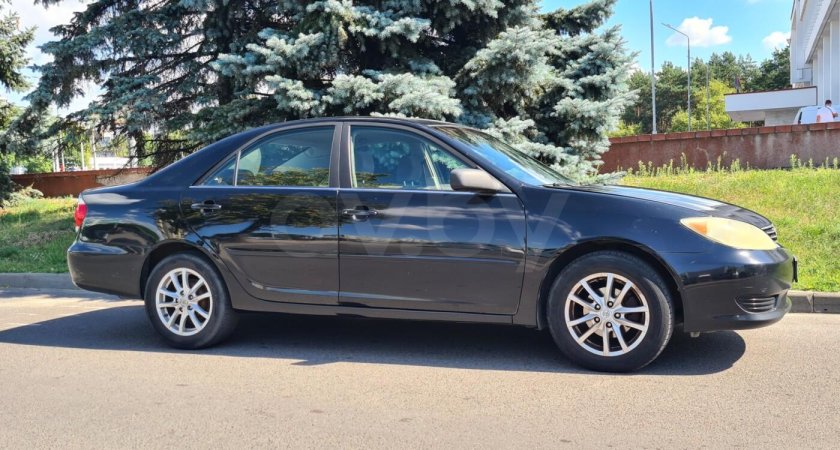 Камри Стрекоза