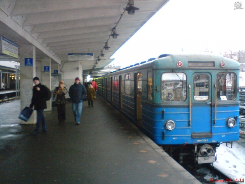 Еж на станции Кунцевская