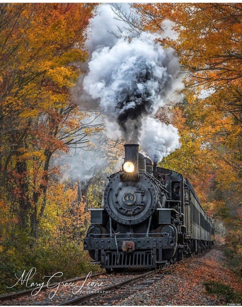 Кбжд паровоз