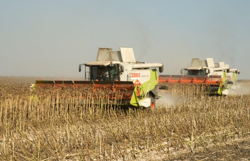 Уборка подсолнечника