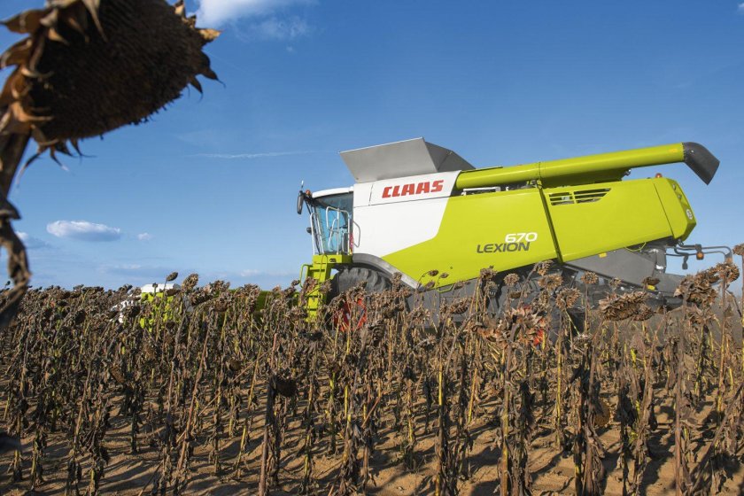 Жатка комбайна Лексион подсолнечник