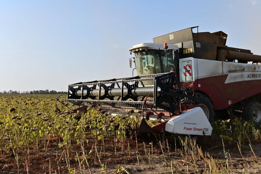 ФС 19 уборка подсолнечника