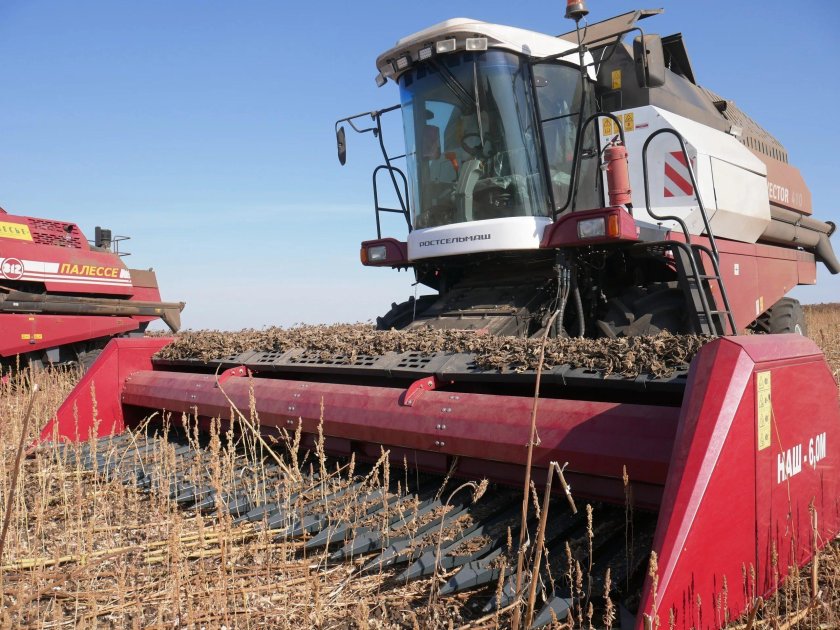 Уборка подсолнечника