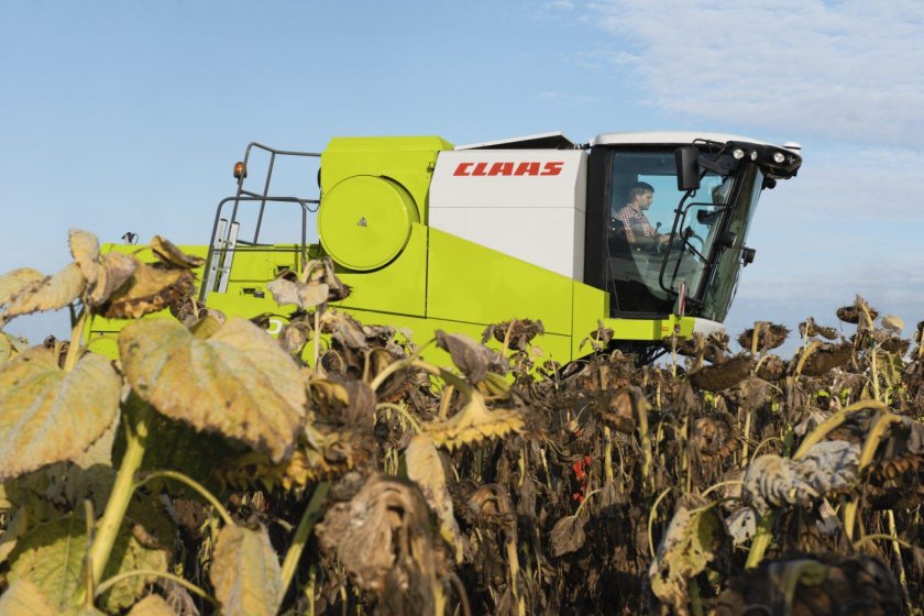 Уборка подсолнечника комбайном Джон Дир