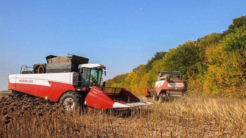 Акрос 550 уборка подсолнечника