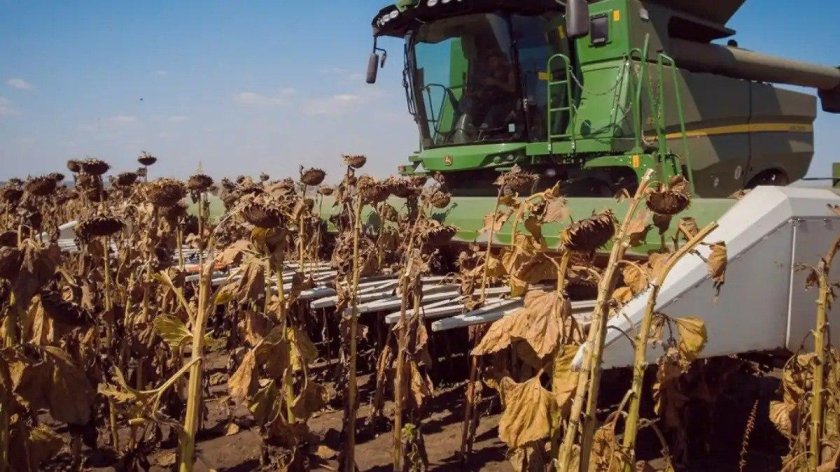 Комбайн John Deere на уборке подсолнечника
