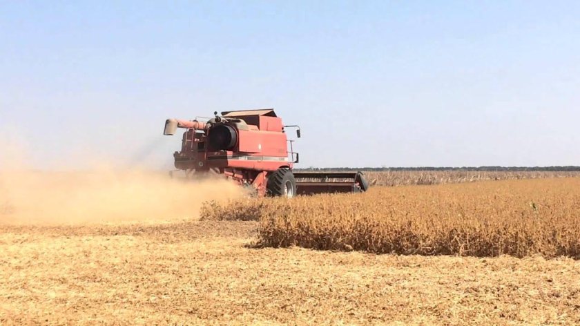 Комбайн кейс 2388 в поле