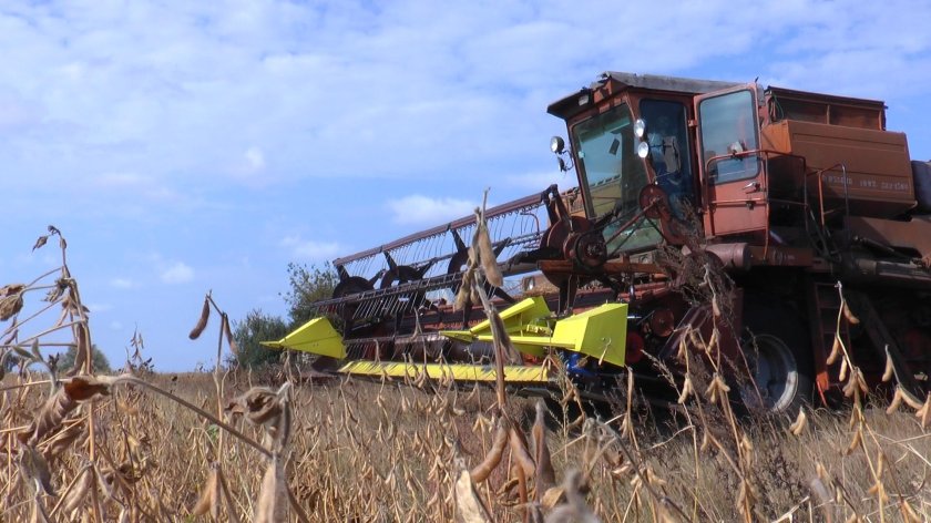 Профессия мастер сельскохозяйственного производства