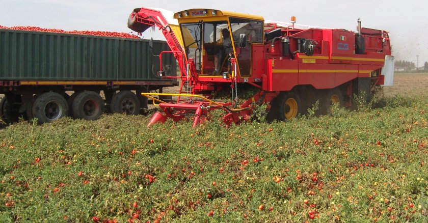 Томатоуборочный комбайн скт-2