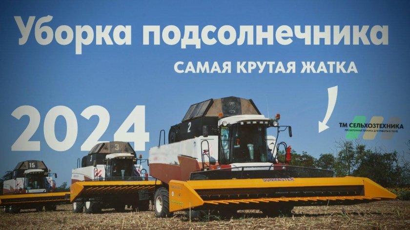 Уборка подсолнечника