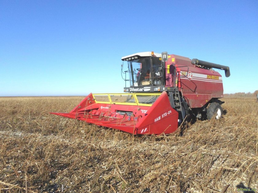 Акрос 550 уборка подсолнечника