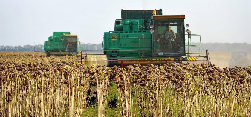 Уборка подсолнечника