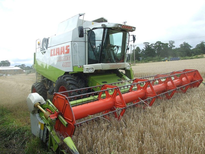 Кукурузные жатки накомбайн клас Лексион 7700