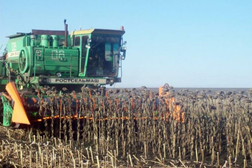 Уборка подсолнечника комбайнами Дон 1500а