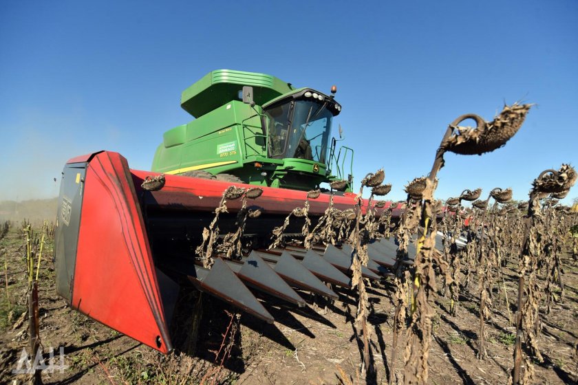 Уборка подсолнечника