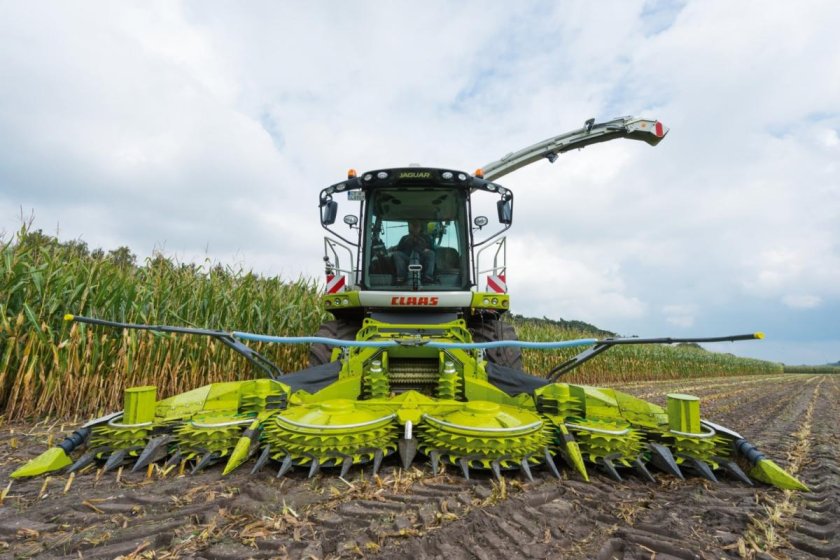 Жатка Ягуар 850 кукурузная