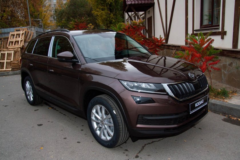 Skoda Kodiaq Brown