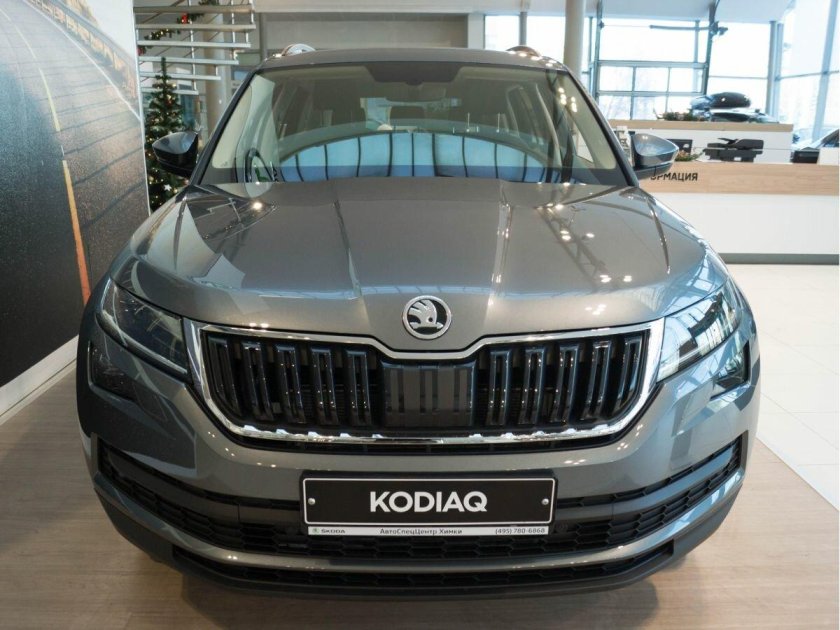 Кодиак 2022 серый