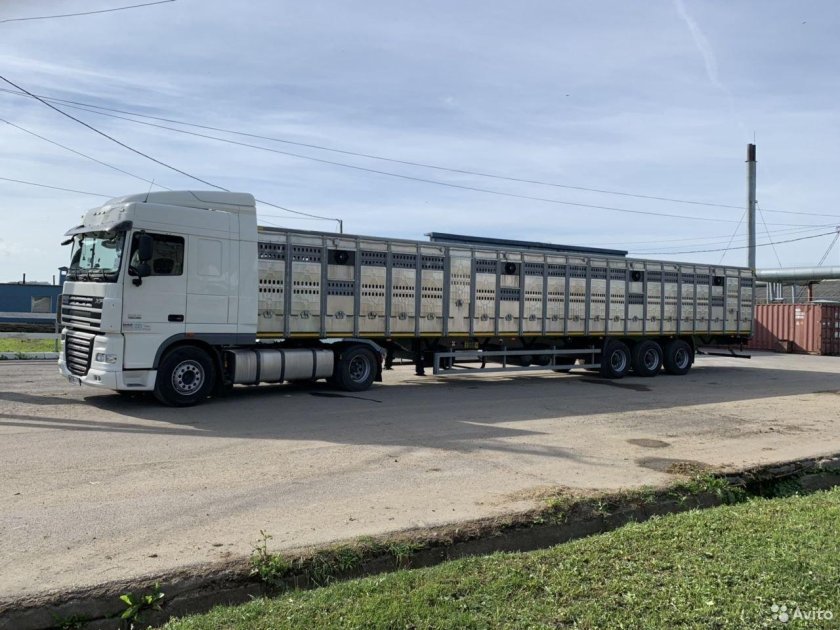 Скотовоз Тонар 17 метров