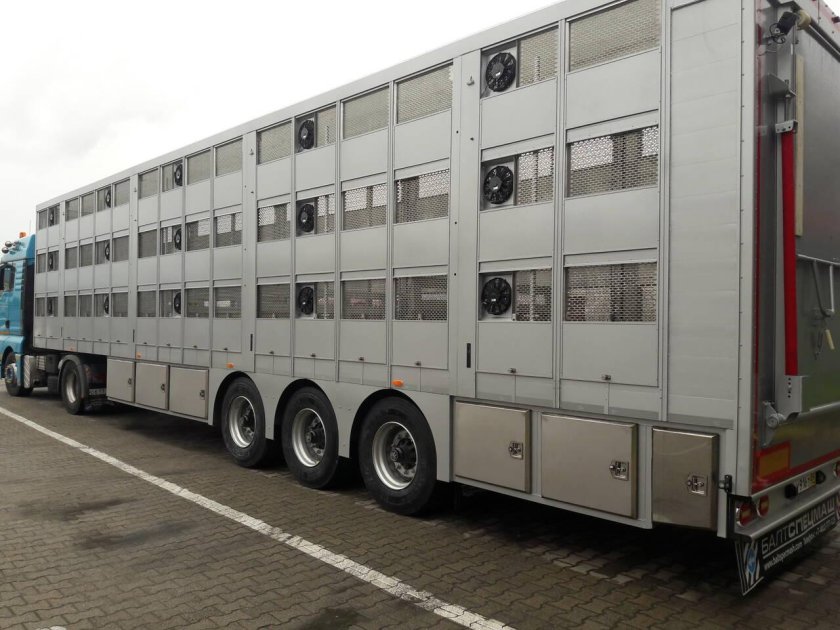 Скотовоз полуприцеп для КРС