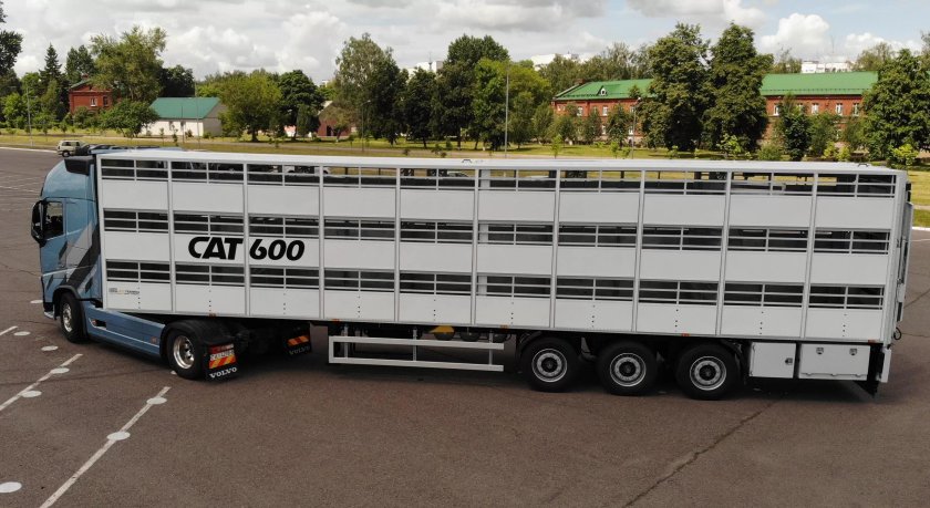 Тонар свиновоз