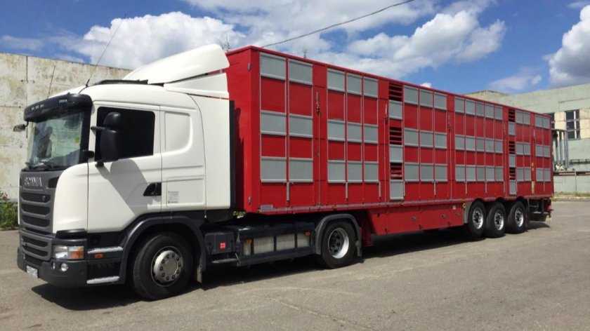 Полуприцеп Pezzaioli sba63