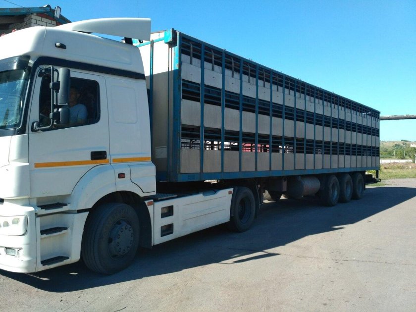 Свиновоз Вольво