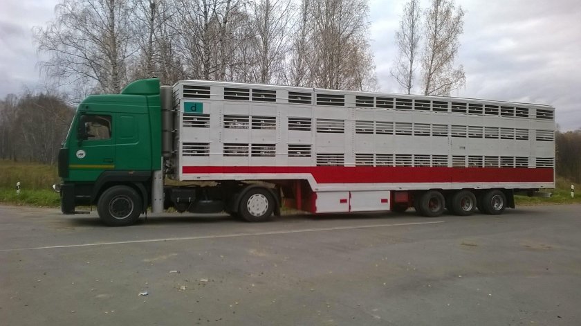 Полуприцеп-скотовоз АПС 552400