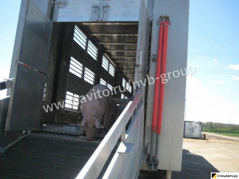 Полуприцеп скотовоз Тонар-9827