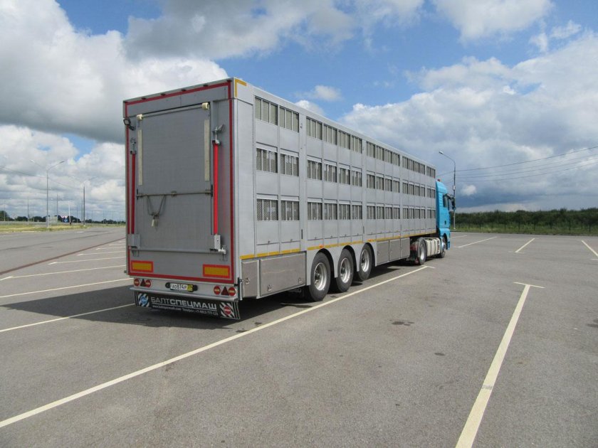 Полуприцеп-скотовоз АПС 552400