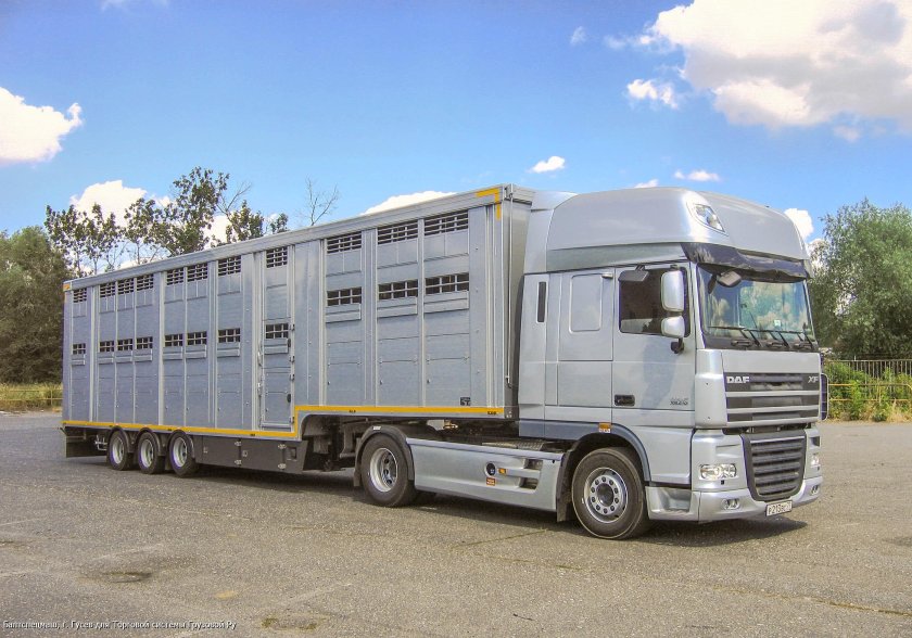 Скания скотовоз