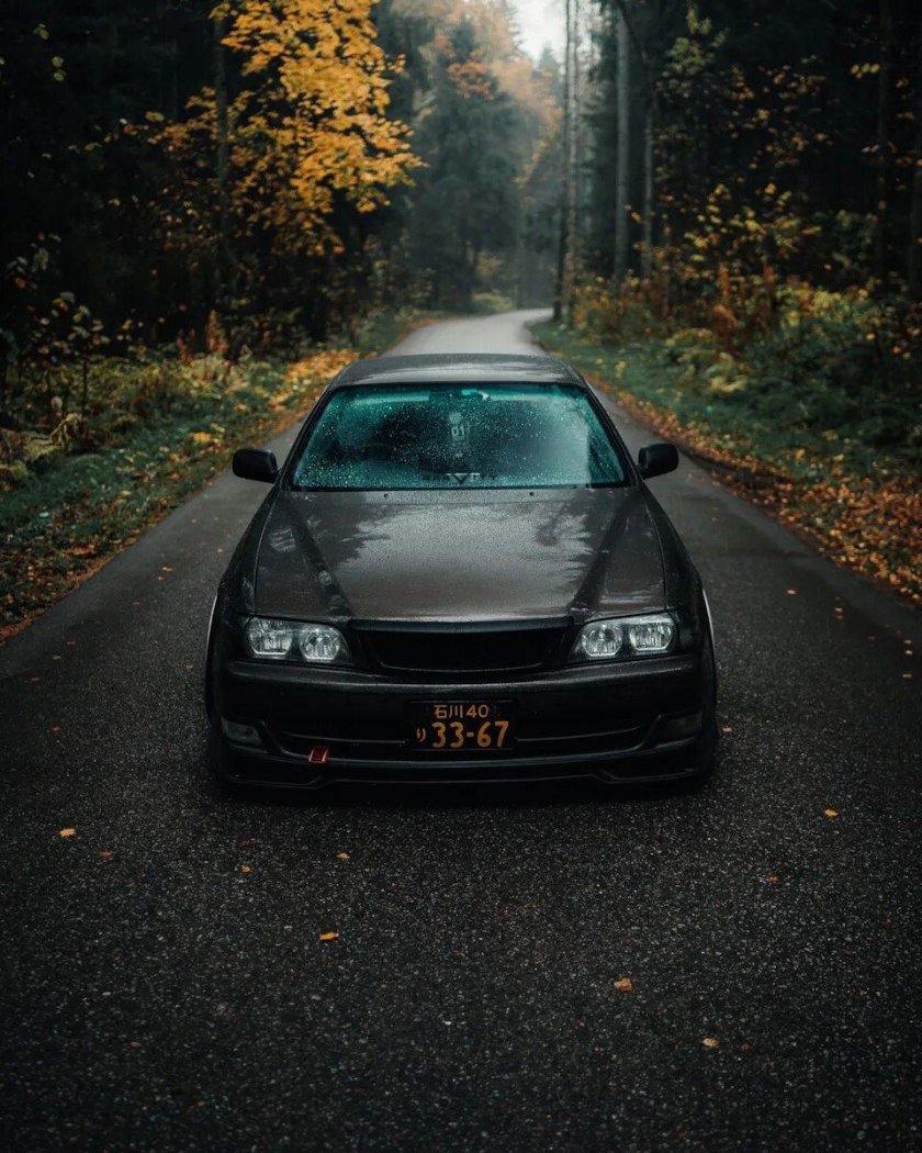 Чайзер стенс