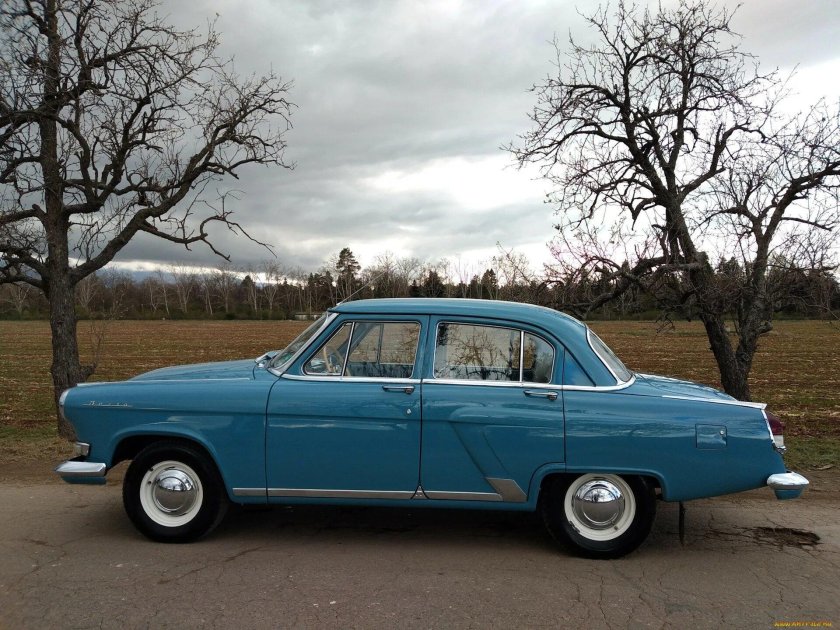 Волга Чайка 13