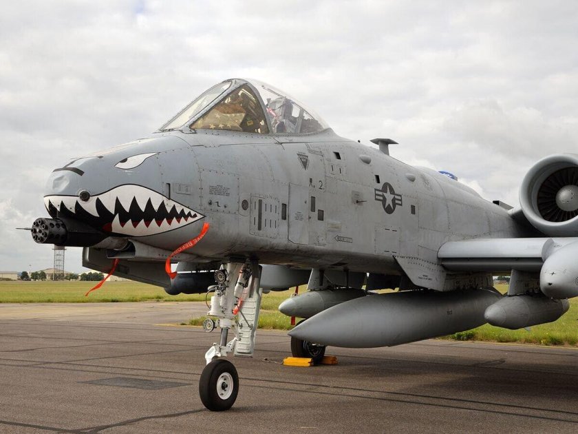 Штурмовик бородавочник а 10