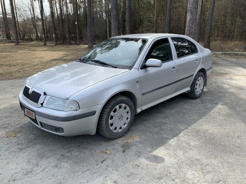 Октавия тур бежевая