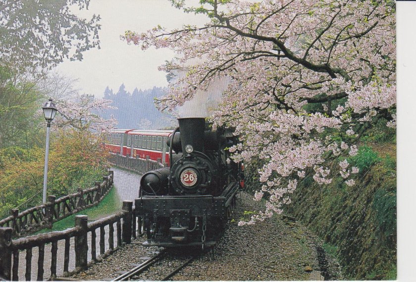 Алишань Тайвань