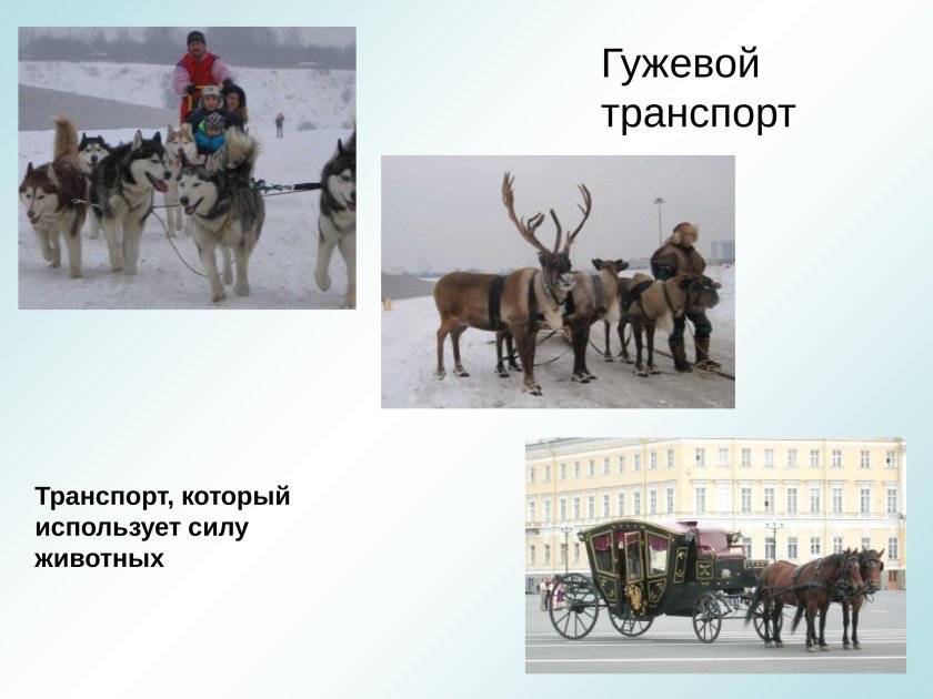 Гужевой транспорт