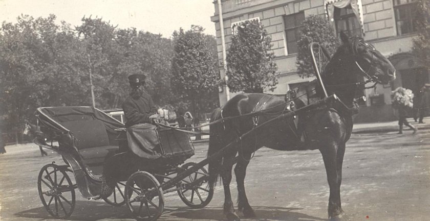 Конные экипажи Санкт-Петербург 19 век