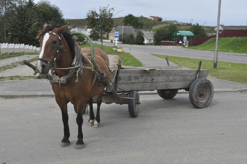 Гужевая повозка